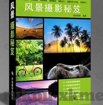 大象传媒视-探索大象传媒视，重塑数字时代的文化传播新格局