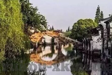 麻豆传媒苏娅-深度揭秘，苏娅与麻豆传媒的跨界探索