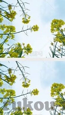 欧美 日韩av-欧美与日韩AV文化的多元视角，艺术与娱乐的交融
