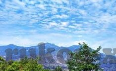 欧美在线一区二区-欧美在线一区二区，网络文化与社交的新视角