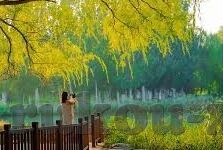 亚日韩av在线-亚日韩文化影视的多元视角，探索网络视频的全球影响